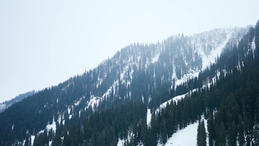 4K Landscape shot of snowy Himalayan mountain peaks with trees on top during the winter season as seen from Sonmarg in Jammu and Kashmir, India. Scenic view of Pir Panjal range in winter season.