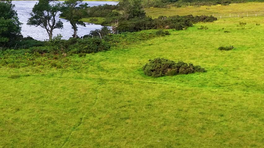 Lush green river valley, rolling hills, scattered trees, and smooth aerial camera movement under daylight.