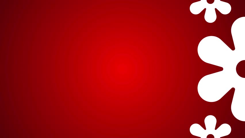 lowers on sides, red gradient background video, left and right flowers, animated geometrical flowers on sides, with animated stickers, marketing or promotional video, christmas, ads, abstract, textile