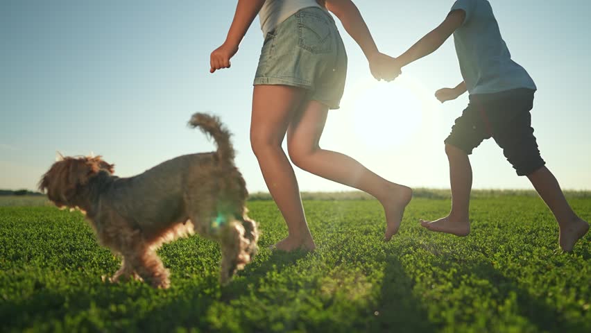 Children walk barefoot together across green summer field. Girl and boy holding hands while dog follows near. Grass under feet. Joyful barefoot children walking holding hands bright summer grass field