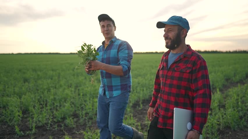 Farmer points across field horizon. Man stands farmer checking nature crop. Soil beneath green agriculture growth. Farmer teamwork builds field future. Nature frames teamwork around soil agriculture.