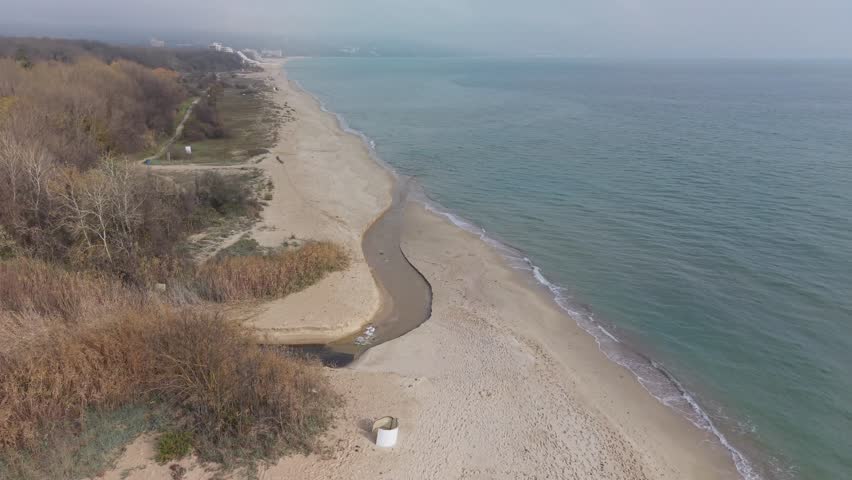 
Drone footage showing a river flowing into the sea, surrounded by forest and beach. Aerial view of coastline, natural landscape, and blue water on a cloudy day.