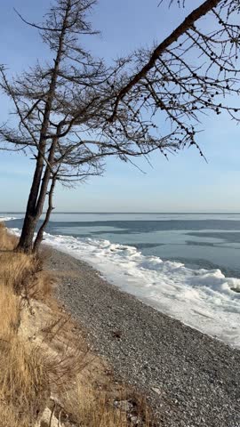 Baikal Lake freezing over on cold December day. Vertical video of deserted beach with white ice floes lining blue water and larch trees on sunny, frosty day. Changing seasons. Nature park. Scenic view