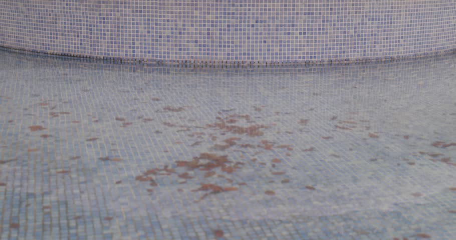 Close-up of Small Mosaic Street Pool with Water and Fallen Leaves