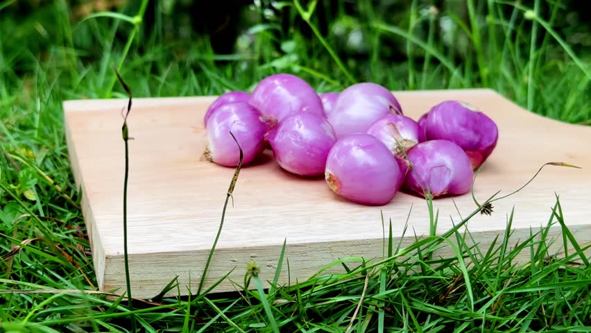 Fresh Shallots on Wooden Board in Green Grass.
