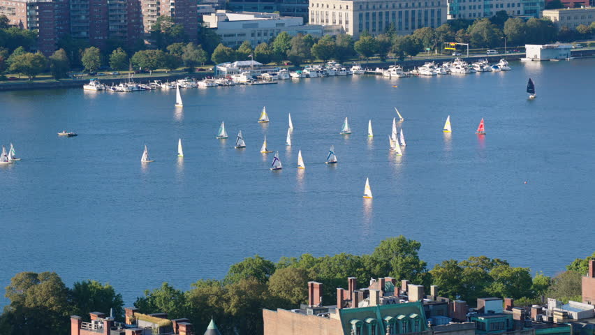 Sailboats On Charles River In Boston, Massachusetts, USA. - wide shot