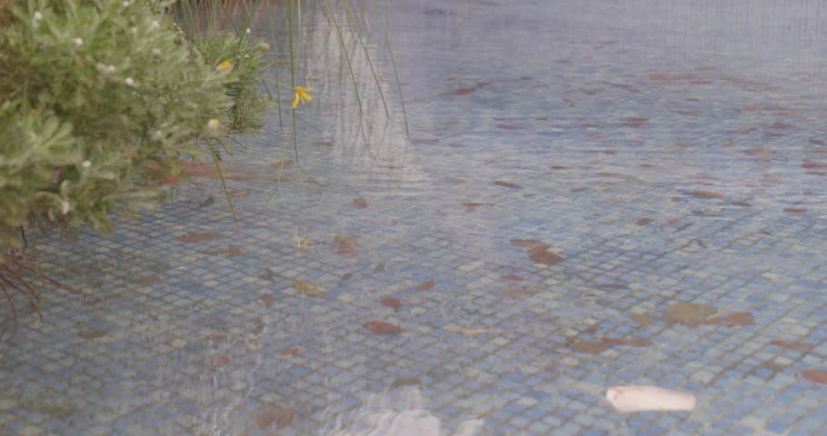 Close-up of Blue Mosaic Street Pool with Water and Green Plants