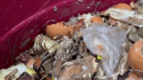 Composting Food Waste - A Close-Up Look at Decomposition. - Powered by Shutterstock - Get 15% off with code: PIKWIZARD15