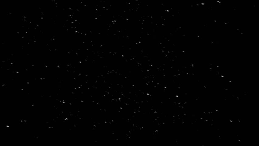 A dense flurry of gentle, small snow particles falls slowly against an isolated black background, creating a calm and peaceful winter overlay