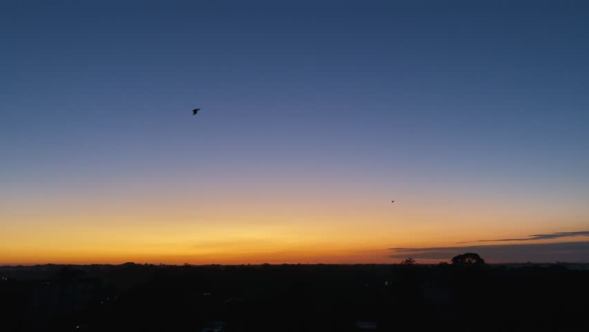 Birds flying gently at Golden hour in colorful twilight sky. Sunset glow.