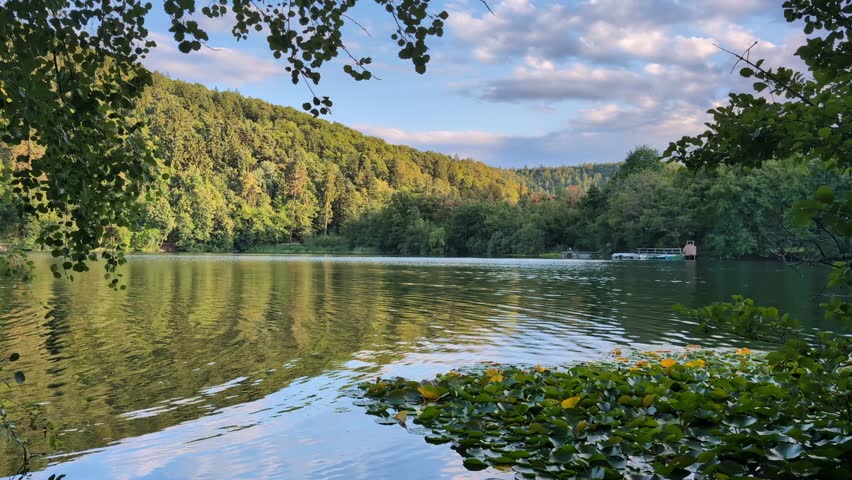 Autumn lake ambience with warm green colours and water ripples