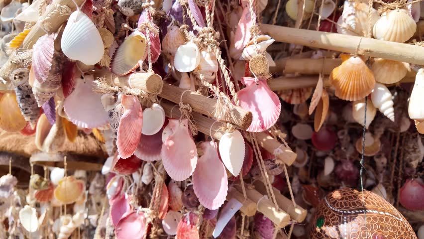 Seashell jewelry at a coastal store.