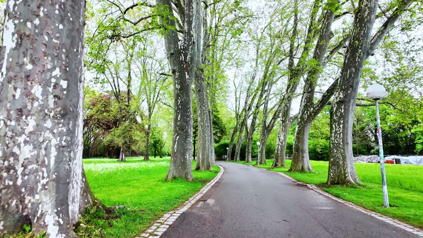 riding a bike in a park