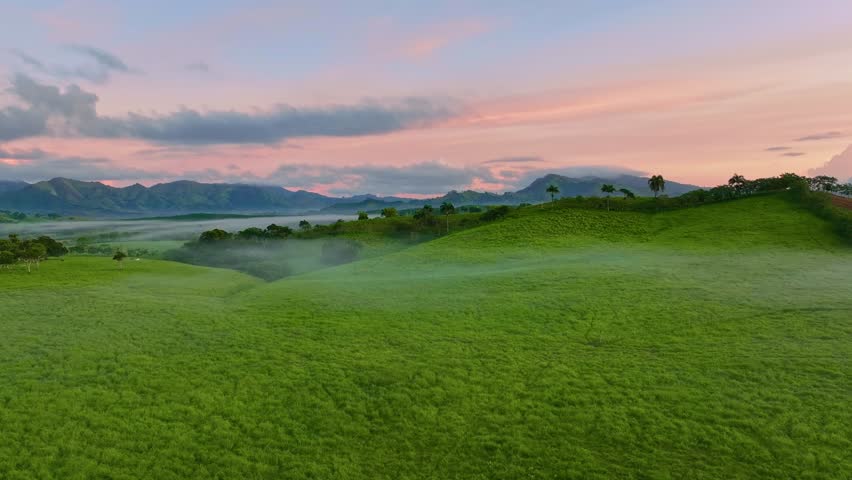 Mountain range and layers of green hills of America on a foggy summer morning. Mountain views under a pink sky at dawn. Beautiful summer landscape. Shades of early morning in a mountain valley.