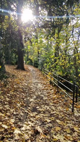 Autumn Walk Through Sun-Dappled Woodland Paths and Park in Stapenhill, Burton upon Trent