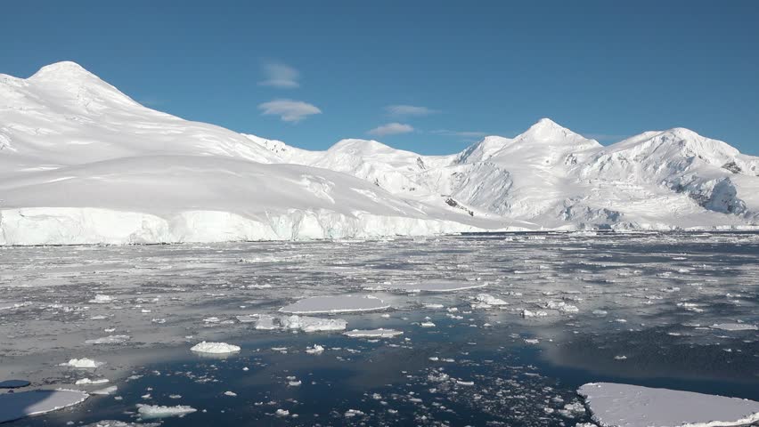 Polar ice in Antarctica is slowly melting due to climate change, as seen in the bright sunshine reflecting on the calm waters and icebergs drifting away.