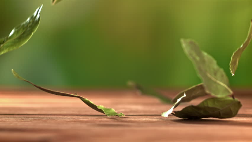 A bay leaf falls on the table. Filmed on a high-speed camera at 1000 fps. High quality FullHD footage