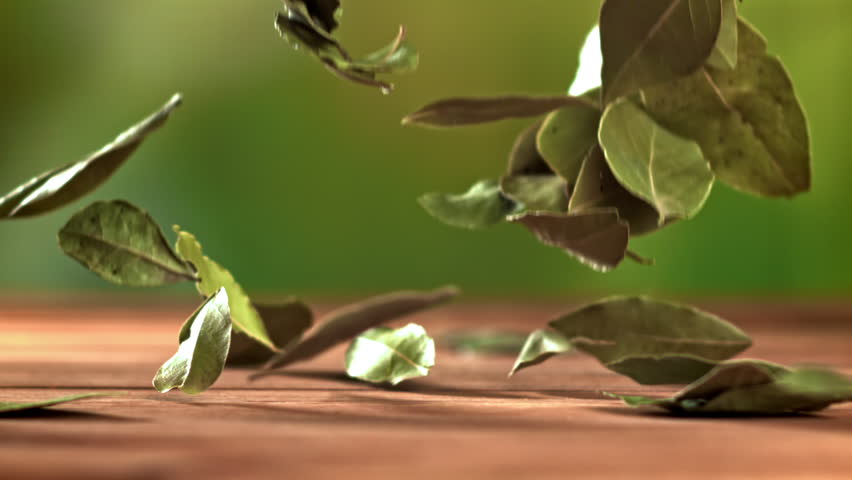 A bay leaf falls on the table. Filmed on a high-speed camera at 1000 fps. High quality FullHD footage
