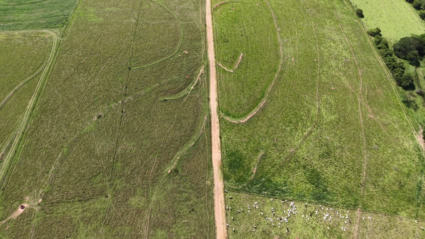 Aerial perspective of agricultural land with circular patterns and a dirt road, highlighting the beauty of rural landscape and farming techniques