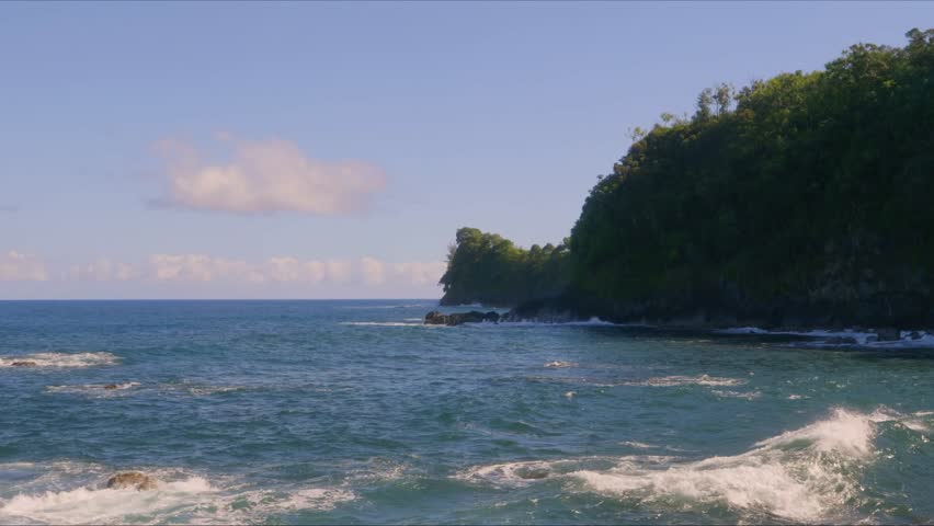 Footage showcasing the stunning coastal beauty of the Hawaii Tropical Botanical Garden, featuring lush tropical foliage, dramatic cliffs overlooking the Pacific Ocean, and the iconic Onomea Bay with i