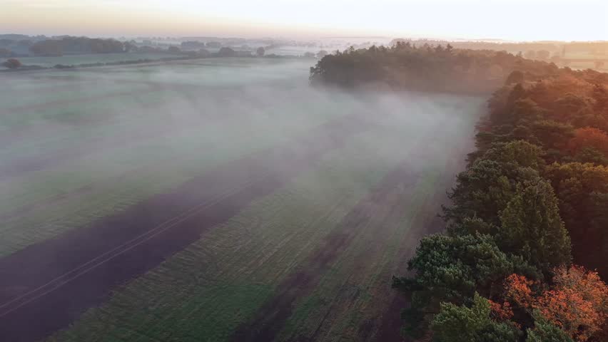 Gorgeous autumn forest trees from above in Norfolk England. Early dawn mist landscape aerial view over woodland trees with golden  autumn leaves on the trees. Drone viewpoint