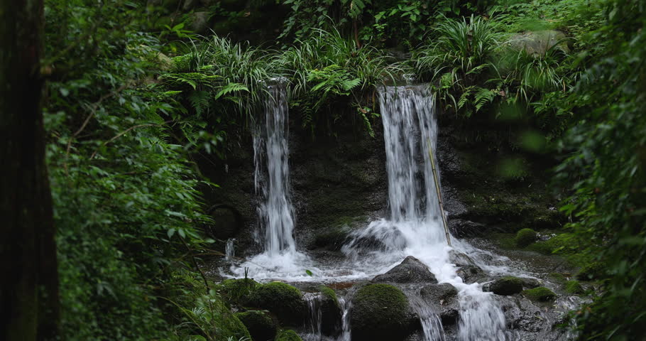 Waterfall in the green forest
