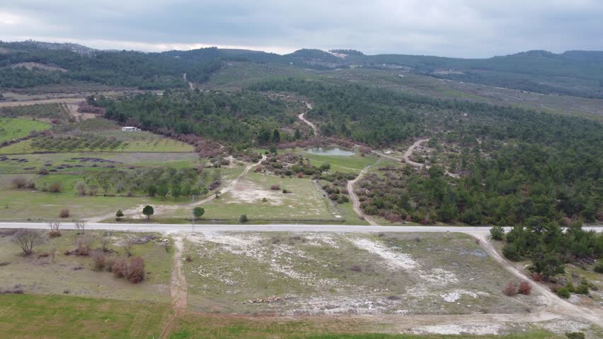 Aerial view of road and small lake in wooded area