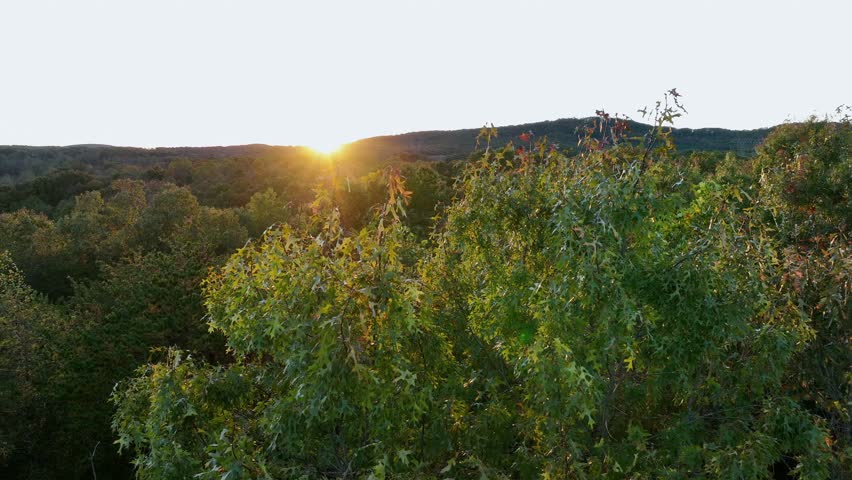 Drone flight over colored leaves of forest trees in mountain landscape of USA. Sunset time in fall season. Flyover shot. Peaceful nature and environment in America. Wide shot. Lens flare.