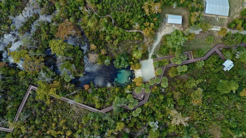 Turquoise and sapphire spring waters flow beneath a dense canopy of Florida forest near Pitt and Sylvan Springs, where a zigzagging wooden boardwalk cuts through lush vegetation and natural pools.