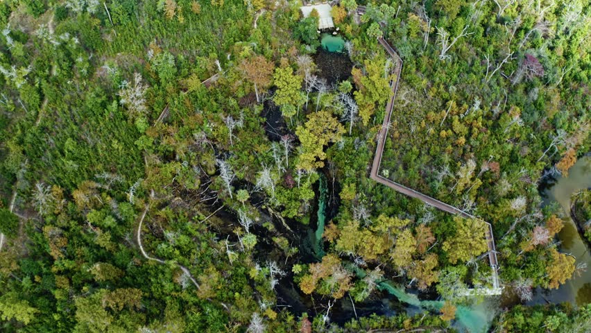 A mesmerizing aerial perspective captures turquoise spring water weaving through the dense Florida forest near Pitt and Sylvan Springs, with wooden pathways and lush seasonal foliage.