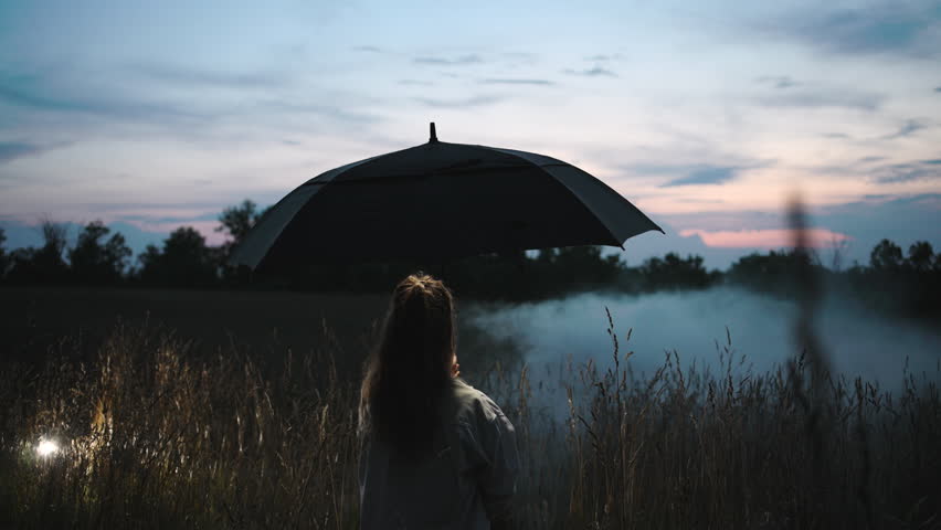 Umbrella woman standing under sunset sky in serene field scene