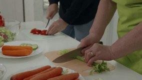 Woman wearing a green apron slicing celery on a cutting board, while the daughter cuts tomatoes, carrots and cucumbers are already cut and ready to be used - Powered by Shutterstock - Get 15% off with code: PIKWIZARD15