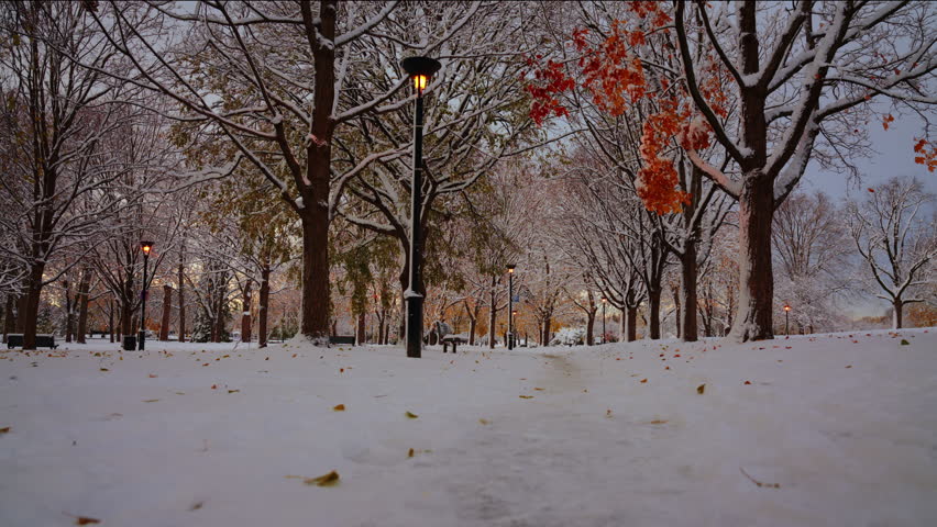 Peaceful snowy park during early winter, with autumn leaves still on the trees and warm lamp posts. Calm, cinematic atmosphere ideal for climate, seasonal, or mindfulness themes. - Powered by Shutterstock - Get 15% off with code: PIKWIZARD15