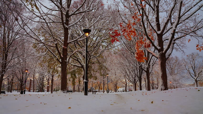 Peaceful snowy park during early winter. Autumn leaves still on trees and glowing lamp posts create a calm, cinematic atmosphere. Perfect for climate, seasonal or mindfulness themes.