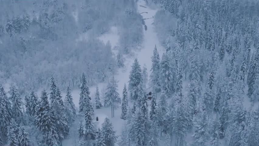 Slow Rising Drone View of Hidden Cabin and Conifer Forest During Heavy Snow or Blizzard