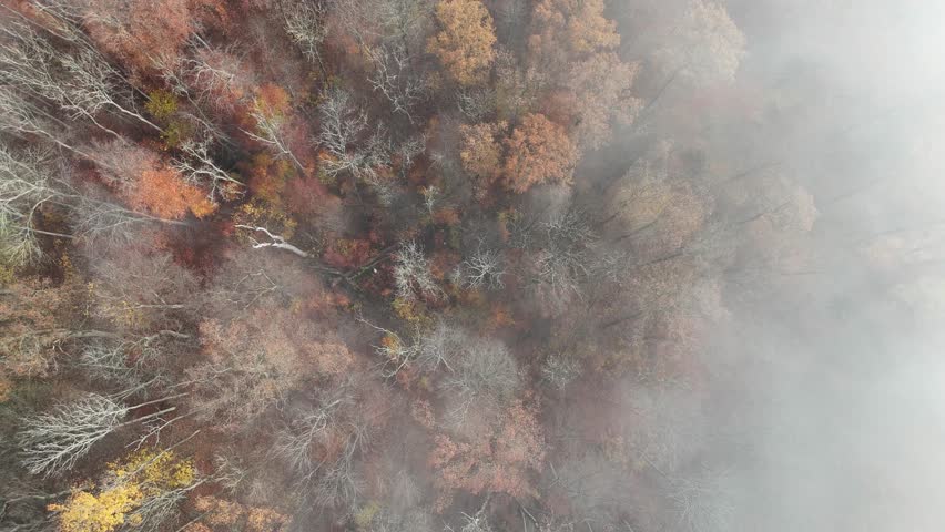Aerial drone footage of ascent over foggy autumnal forest 