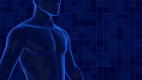 Digital Human Body Scan Medical Technology Animation Skeleton Wireframe Grid Background - Powered by Shutterstock - Get 15% off with code: PIKWIZARD15