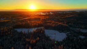 Golden sunrise lights up frosted treetops and frozen meadows across a vast forest - Powered by Shutterstock - Get 15% off with code: PIKWIZARD15