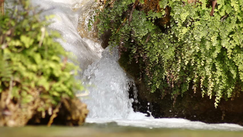 Close-up of a natural water spring near Rishikesh, northern India, where the Ganges originates.