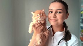 Veterinarian with little kitten. Beautiful smiling veterinarian girl with a kitten.  Animal shelter help concept or veterinary clinic. - Powered by Shutterstock - Get 15% off with code: PIKWIZARD15