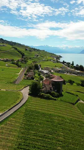 Lavaux vineyard terraces wine region UNESCO heritage Switzerland view of Lake Geneva