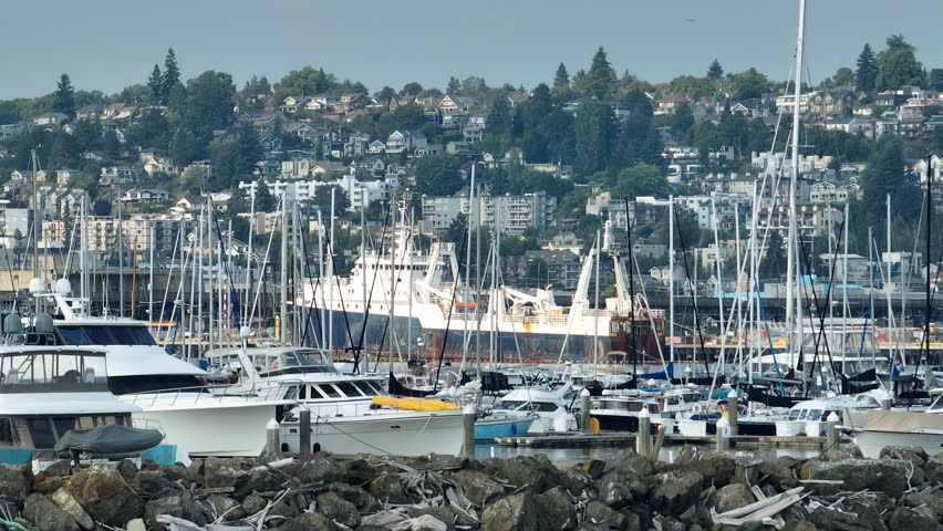 Telephoto drone shot of boats at the Elliott Bay Marina , sunny day in Seattle
