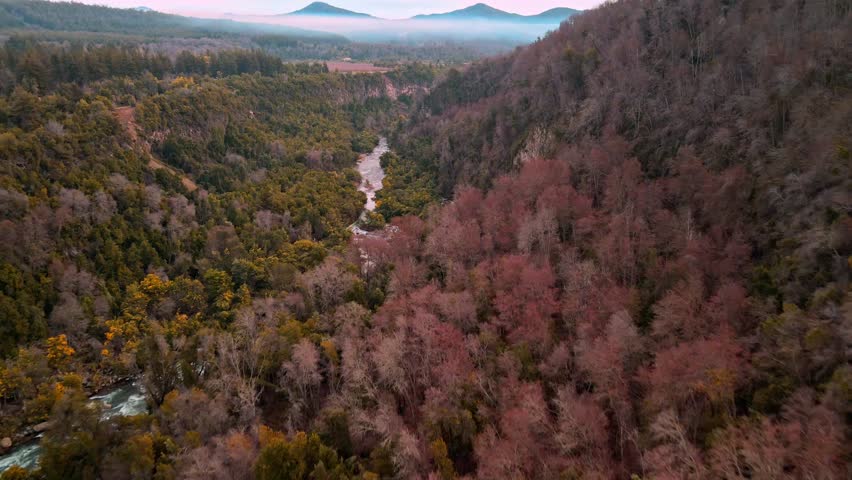 Forward tilting down drone aerial of river canyon through autumn forest, Ñuble Region, Chile with volcano and mountains backdrop panorama