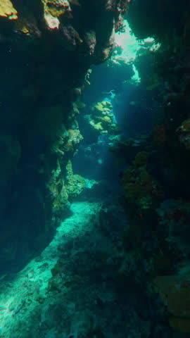 Vertical footage, Mystical light Illuminating the tranquil aquatic realm in enchanting underwater canyon, Slow motion, Silhouette of canyon walls in sunbeams