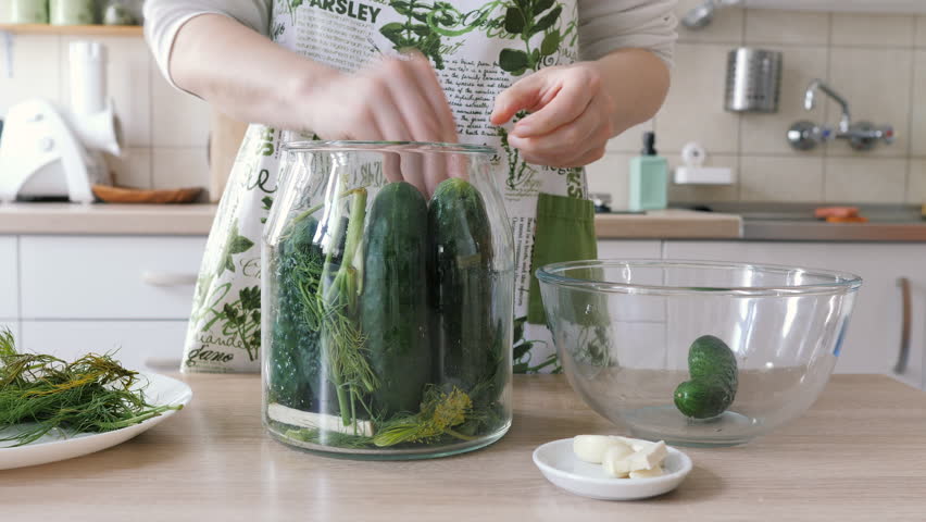 Woman preparing homemade sour cucumbers adding dill, horseradish root and garlic