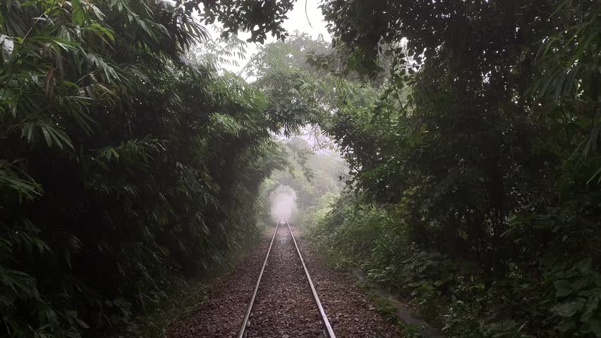 A mystical railway track disappears into a tunnel of lush green vegetation, creating a natural archway effect.Morning mist or fog adds an ethereal quality to this scenic train route