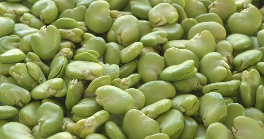 Fresh, uncooked broad beans with peeled second skin. Background texture with selective focus. Table spin, vertical video.
