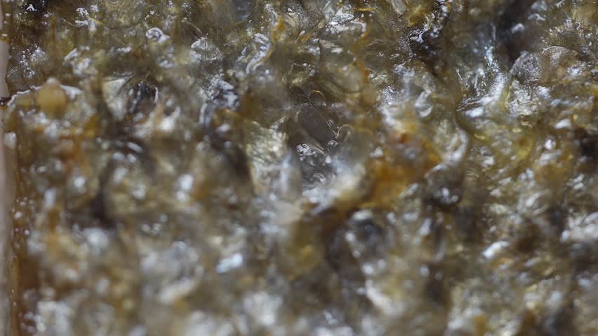 A close up of a rock with a lot of small holes in it. The rock is brown and has a grainy texture