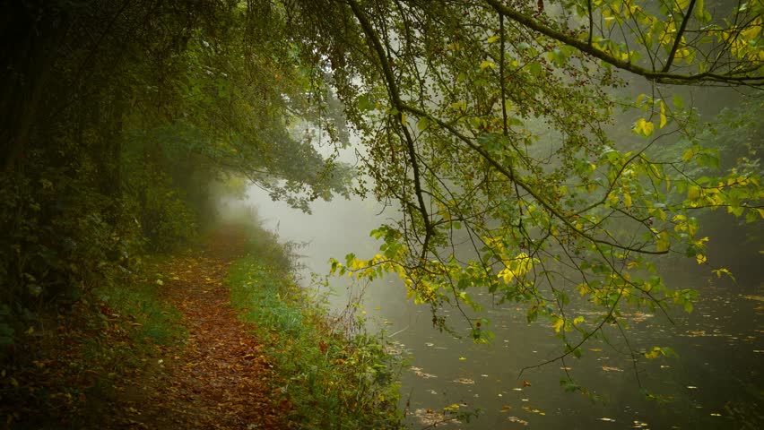 Narrow riverside trail hidden beneath overhanging branches vanishing into eerie fog of suspense and dread. Mystic mist flowing through peaceful quiet, All Saints Day. Lonely forest path along silent