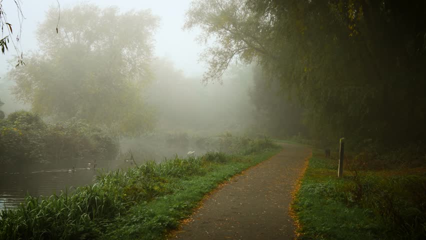 Autumn fog covering forest trail near calm river creating peaceful mood. Gentle fog drifting across calm meadow hiding unseen shapes. Morning mist enveloping woodland path beside water forming quiet